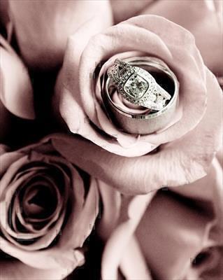 Click to view Portfolio